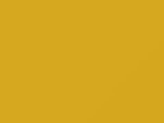 Yellow touch-up paint for Toyota, code 5A1, 2005