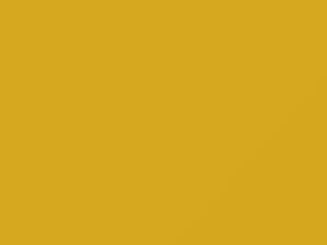 Yellow touch-up paint for Toyota, code 5A1, 2005