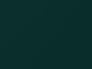 Racing Green Metallic touch-up paint for Lotus Lotus, code B21, 1995
