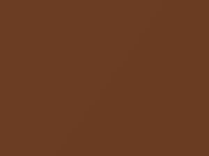 Brown Metallic touch-up paint for Nissan, code CW0, 2003