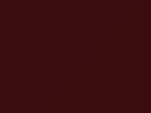 Dark Toreador Metallic touch-up paint for Buick Electra, code 51, 1998