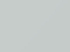 Olympic White touch-up paint for Chevrolet Express, code 50U, 2013