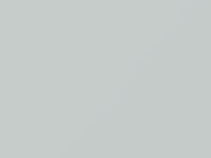 Olympic White touch-up paint for Chevrolet Express, code 50U, 2002