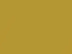 BMW 3 Series Individual Phoenix Yellow Metallic touch up paint 445 2006 Individual3-SERIES