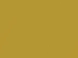 BMW 3 Series Individual Phoenix Yellow Metallic touch up paint 445 2006 Individual3-SERIES