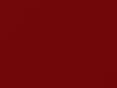 Rallye Red touch-up paint for Honda Civic Coupe, code R513, R513-4, 2004
