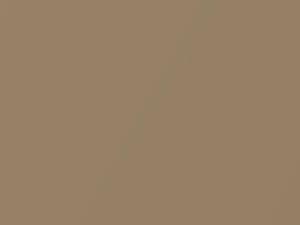 Gold Metallic touch-up paint for Pontiac, code 60, 2000