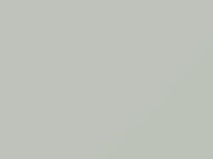 Bianco touch-up paint for Fiat, code 204B, 2011