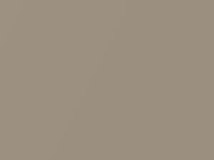 Light Sandalwood Metallic touch-up paint for Ford Ranger, code 63, AX, M6253A, 1991