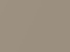 Light Sandalwood Metallic touch-up paint for Ford, code 63, AX, M6253A, 1990