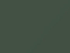 Verde Libero E Bello touch-up paint for Fiat 500, code 309, 309B, KGA, PGA, 2011
