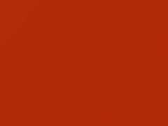 BMW Feuerorange II touch up paint U94 2012 All Models