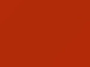 BMW Feuerorange II touch up paint U94 2012 All Models