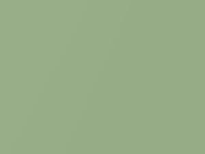 Apple Green Metallic touch-up paint for Hyundai, code G8, 2009