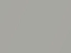 Opal Silver Metallic touch-up paint for Volkswagen, code 9A9A, 2010