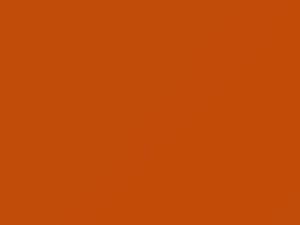 Dozer touch-up paint for Dodge, code KY5, PY5, 2016
