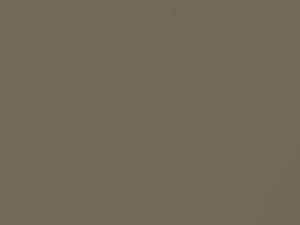 Mercedes-Benz G Class Sand Beige Metallic touch up paint 1798 2018 ClassG