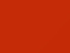 Aranico Sole touch-up paint for Lamborghini, code 231240, 2000