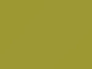 Light Yellow touch-up paint for Toyota, code 5A0, 2005