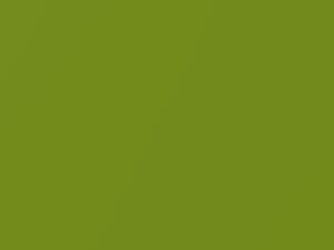 Volkswagen Viper Green Metallic touch up paint 6B 2020 All Models