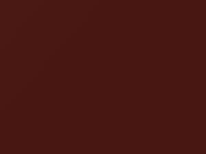Trac Dark Copper Metallic touch-up paint for Ford Explorer Sport, code M7133A, T5, 2010