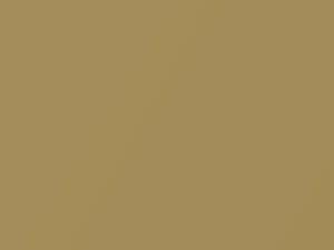 Maya Gold Metallic touch-up paint for Volvo, code 451, 2004