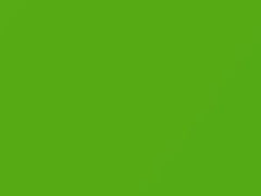 Verde Tagliente touch-up paint for Fiat, code 584A, 2011