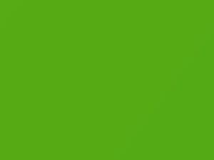 Verde Tagliente touch-up paint for Fiat, code 584A, 2011