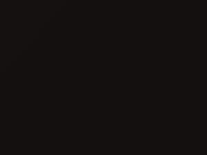 Kodiak Brown Metallic touch-up paint for Lincoln Mkx, code J1, 2015