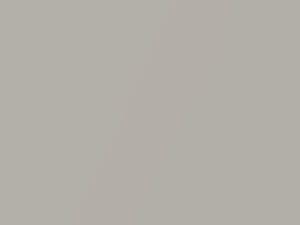 Silver Birch Metallic touch-up paint for Cadillac Escalade Ext, code 59, 2007