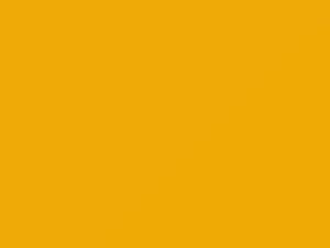 Bright Yellow touch-up paint for Ford, code PP, 1993