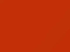 Orange touch-up paint for Porsche, code 8C6, L8C6, 2011