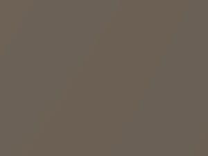 Medium Sandalwood Metallic touch-up paint for Ford, code A2, B8, 1990