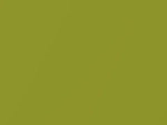 Verde Acido Metallic touch-up paint for Fiat, code 302A, 2011