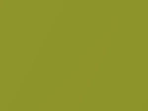 Verde Acido Metallic touch-up paint for Fiat, code 302A, 2011