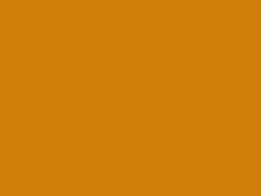 Super Fly Yellow touch-up paint for Lamborghini, code 231233, 2008