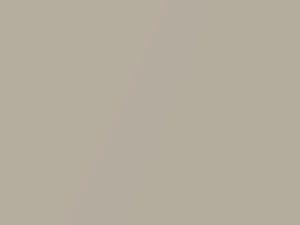 Daydream Beige Metallic touch-up paint for Daewoo Epica, code 892T, GOZ, WA892T, 2013