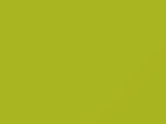Giallo Fluo touch-up paint for Fiat, code 012A, 2009