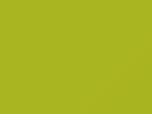 Giallo Fluo touch-up paint for Fiat, code 012A, 2009