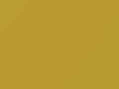 Giallo Carioca touch-up paint for Fiat, code 241A, 2010