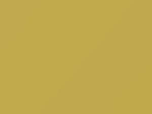 Giallo Vanilla touch-up paint for Fiat Panda, code 541, 541A, 2012