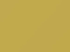 Giallo Vanilla touch-up paint for Fiat, code 541, 541A, 2010