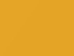 Yellow Pearl touch-up paint for Nissan, code E33, 2005