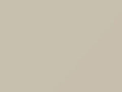 Mercedes-Benz Gray White touch up paint 136 2005 Sprinter