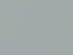 Satellite Silver Metallic touch-up paint for Ford Freestar, code 7130, M7130A, T3, 2005