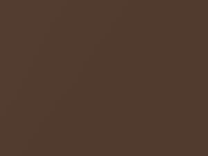 Medium Mocha Metallic touch-up paint for Ford, code 6520, DJ, M6520A, 1993