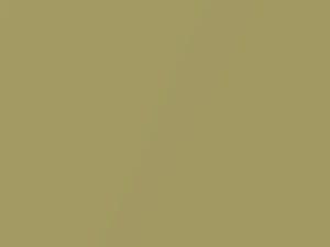 Willowmist Green Metallic touch-up paint for Buick, code 4115, 42, WA4115, 1970