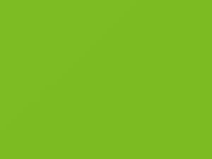 Verde touch-up paint for Fiat, code 544A, 2011