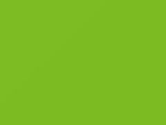 Verde touch-up paint for Fiat, code 544A, 2011