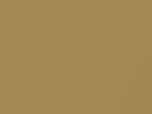 Gold Pearl touch-up paint for Nissan, code EJ3, 1997